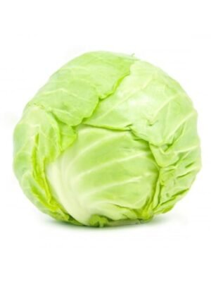 Lechuga